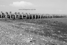 www.bildagentur-sylt.de