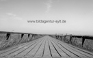 www.bildagentur-sylt.de