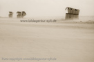 www.bildagentur-sylt.de