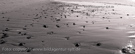 www.bildagentur-sylt.de