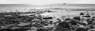 www.bildagentur-sylt.de