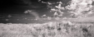 www.bildagentur-sylt.de