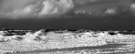 www.bildagentur-sylt.de